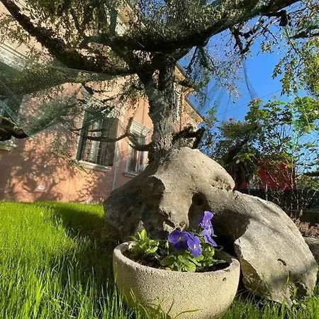 Casa Argia Pádua